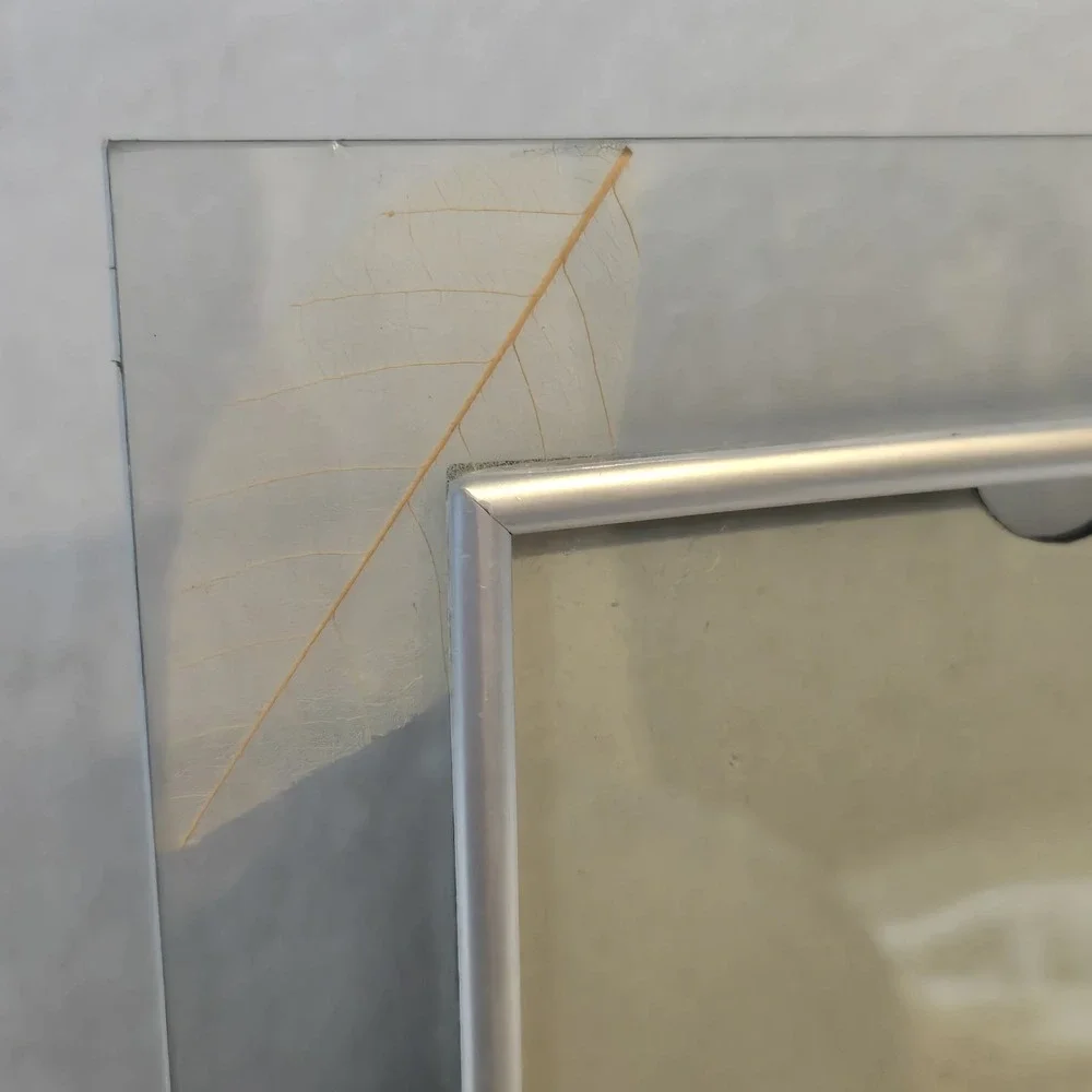 Ganz Glass Picture Frame 5x7 Real Pressed Leaf Botanical Silver EJ9883
